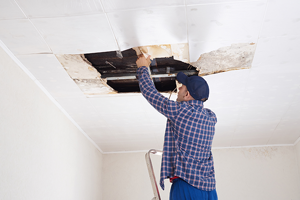 contractor on a ladder inspecting the ceiling of a roof where there is damage and ceiling panels missing